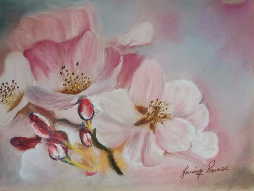 Irving, Cherry Blossom, pastel.